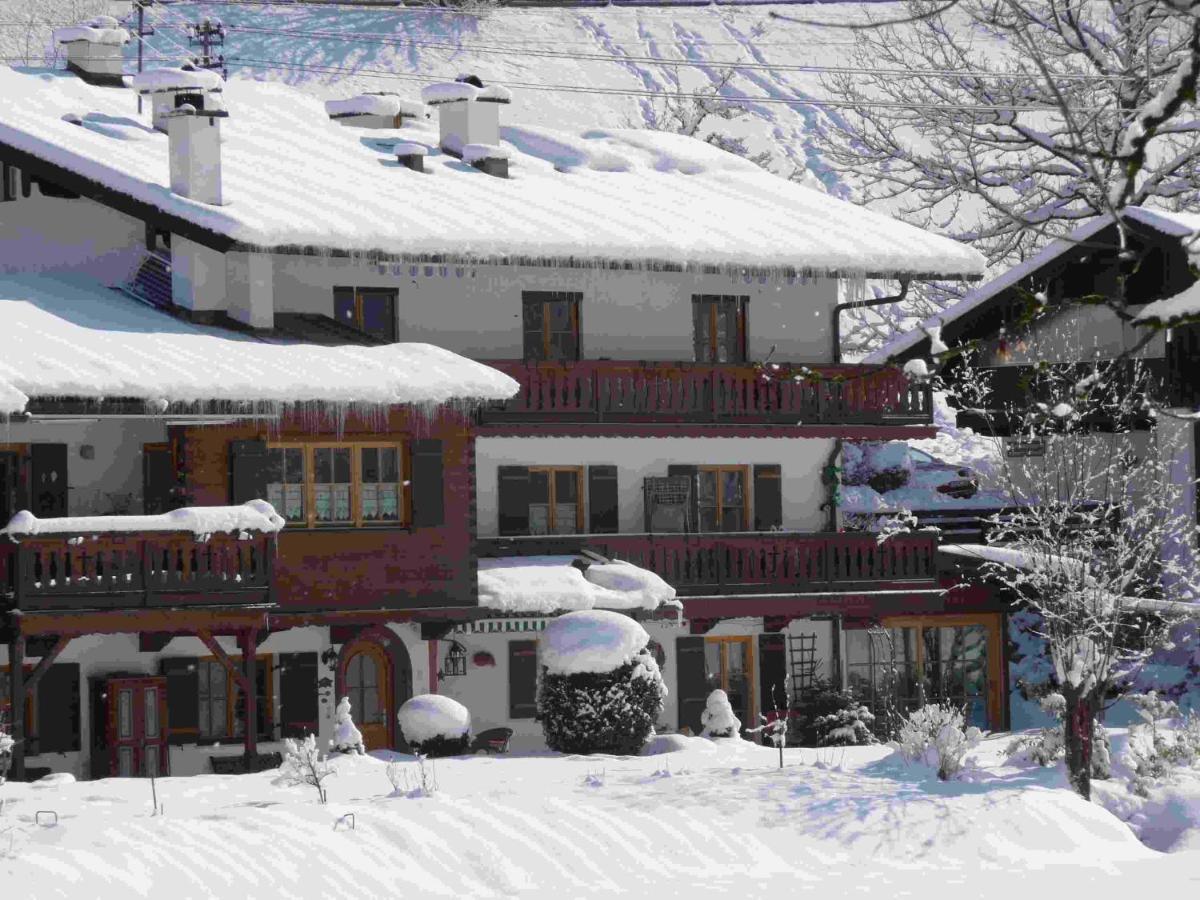 Haus Salzgau Apartment