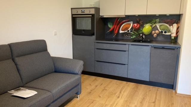 Haus Salzgau Apartment *